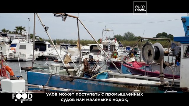 Способны ли мы бороться с мошенничеством в сфере рыболовства?