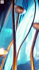 Baby Speaks Villains Panic Chinese Drama - English Sub