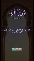 Surah Al-Baqarah سورۃ البقرہ verses (165 to 167).