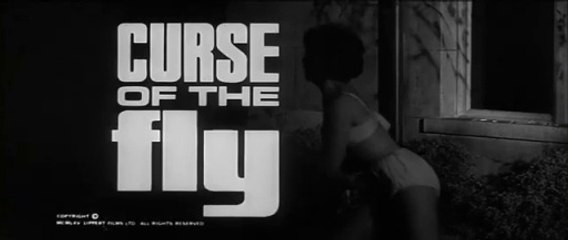 La Maledizione Della Mosca (Film Completo) del 1965 [ITA]