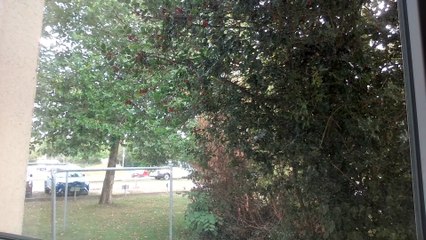 Why I Prefer Bicycles Over Cars 🚲