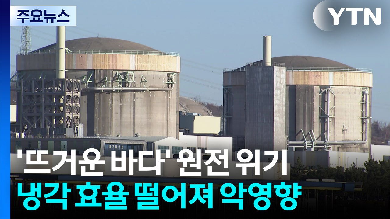'뜨거운 바다'...원전 냉각수도 한계에 달한다? / YTN