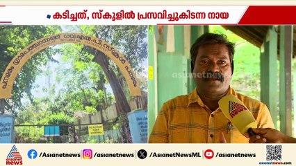 സ്കൂളിൽ പ്രസവിച്ചു കിടന്ന തെരുവുനായ വിദ്യാർത്ഥിയെ കടിച്ചു; സംഭവം വയനാട്ടിലെ പനമരത്ത്