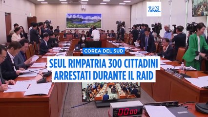 La Corea del Sud riporta a casa 300 cittadini arrestati in un raid in una fabbrica Hyundai negli Usa