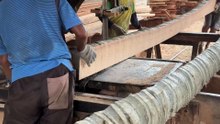 Why is the Sawmill Machine Suitable for Sawing Coconut Trees 5x7?