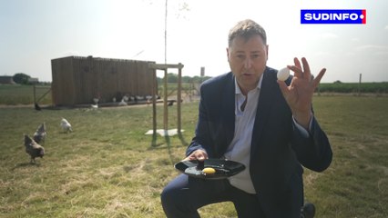 La couleur de l'oeuf explique tout