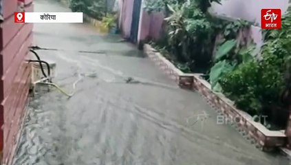 कोरिया में भारी बारिश से बाढ़ के हालात, सड़कों पर पेड़ गिरे, लोगों ने खुद की पहल