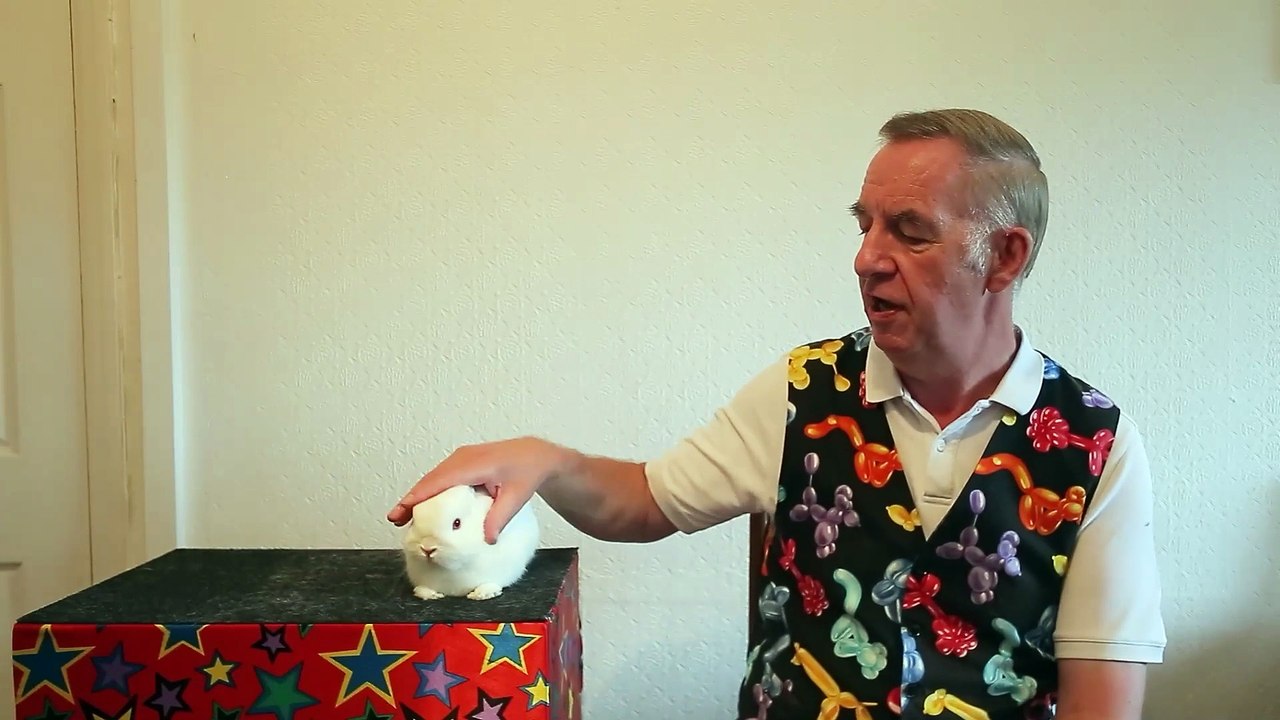 Stuart discusses £429 licence fee for rabbit