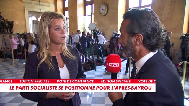 Céline Hervieu : «Si nous arrivons à Matignon, nous nous sommes engagés à ne pas utiliser le 49.3»