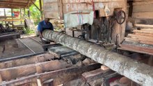 Business Opportunities in Processing Coconut Wood 5x7 with Sawmill Machine