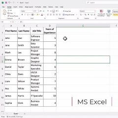 MS Excel Flash Fill