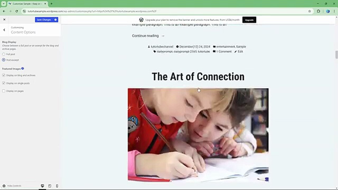 Wordpress.com - Lesson 163 - Content Options