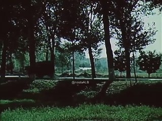 Udhëtim në pranverë (1975)