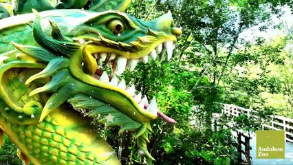 Dragons Promo Video 2025-VO