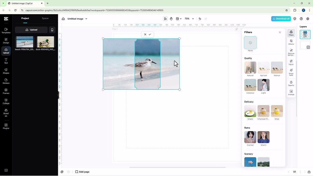 Capcut Web Editor 57 Image Editor Frames