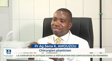 LA CHIRURGIE PLASTIQUE  DANS LA RÉPARATION DES AMPUTATIONS DE MEMBRES.
