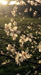 Spring is here Lifestyle photography