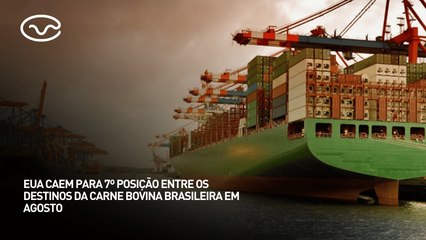 EUA caem para 7º posição entre os destinos da carne bovina brasileira em agosto