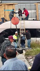 Atlacomulco: Colisión entre tren y autobús deja víctimas