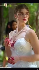 [Doblado ES] El Rey Alfa Es Mi Segundo Pareja Completo En Español