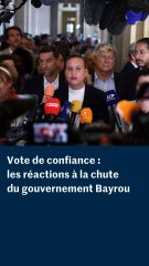 Vote de confiance :  les réactions à la chute du gouvernement Bayrou