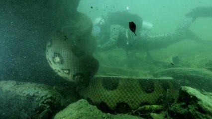 River Monsters S06E05 Bone Crusher