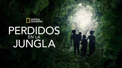Perdidos en la jungla | Tráiler oficial