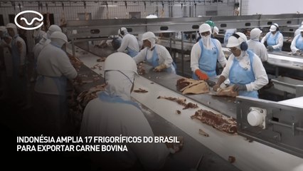 Indonésia amplia 17 frigoríficos do Brasil para exportar carne bovina