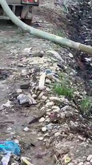 Vertedero de Duquesa aumenta contaminación del río Isabela con vertido ilegal de lixiviados