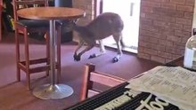 Welcome to Australia 🇦🇺