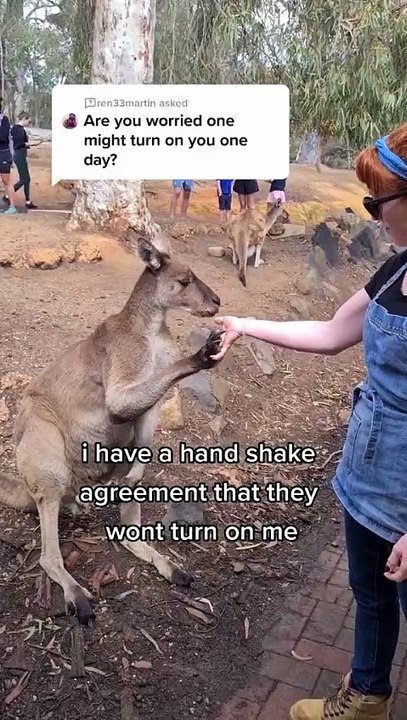 Welcome to Australia 🇦🇺