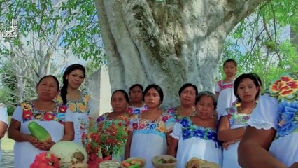 El Tren Maya incorpora tarifas dinámicas para atraer más pasajeros