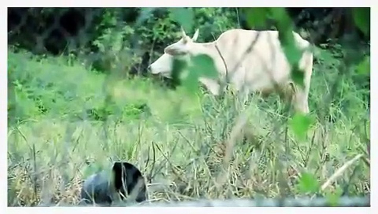 SOS: COMMUNITY FLOOD EARLY WARNING SYSTEM