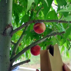 Epic DIY hacks that make your day easier