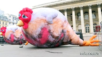 Parigi, polli gonfiabili giganti contro gli allevamenti intensivi