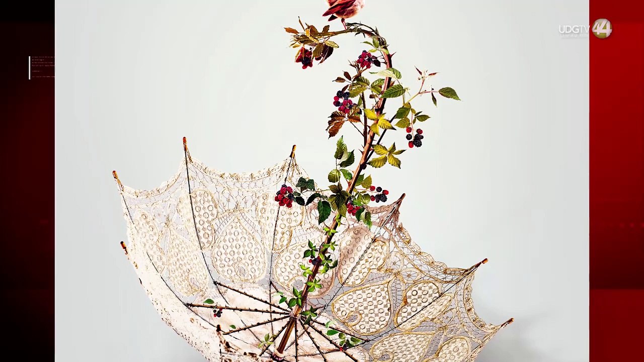 Dos miradas del cine llegan al Edificio Arroniz con el ciclo Cine al Estilo Jalisco