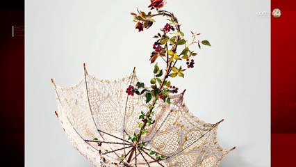 Dos miradas del cine llegan al Edificio Arroniz con el ciclo Cine al Estilo Jalisco