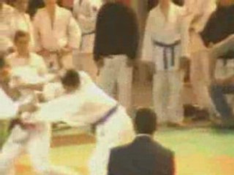 Judo inter