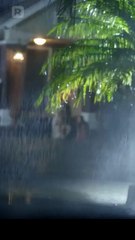 Ruegan por mi regreso después de que me echaron en Español