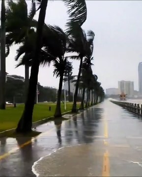 Typhoon Tapah Slams into Taishan, Guangdong, China 🇨🇳 on September 8, 2025