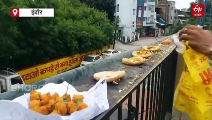 श्राद्ध पक्ष में लापता कौवे, पितरों को भोग लगाने दूत के इंतजार में भटक रहे हैं लोग