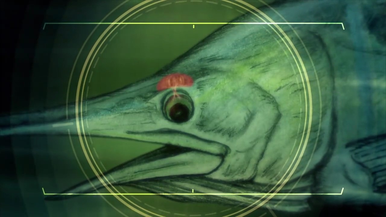 River Monsters S08E01 Deep Sea Demon