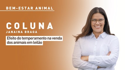 Bem-estar animal: efeito do temperamento na venda dos animais em leilão