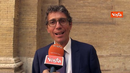 Guerra Gaza, Magi (+Europa): "Tragedia legata alla degenerazione della sovranità nazionale"