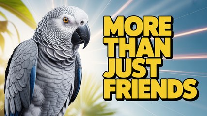 The Unbreakable Bond: Why Some Pets Are More Than Just Friends