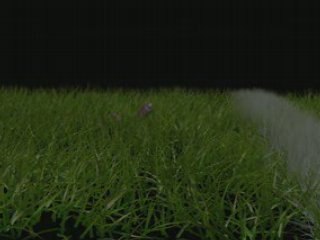 Rien ne sert de courir...