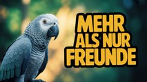 Warum Haustiere mehr als nur Freunde sind: Die besondere Bindung zwischen Mensch und Tier