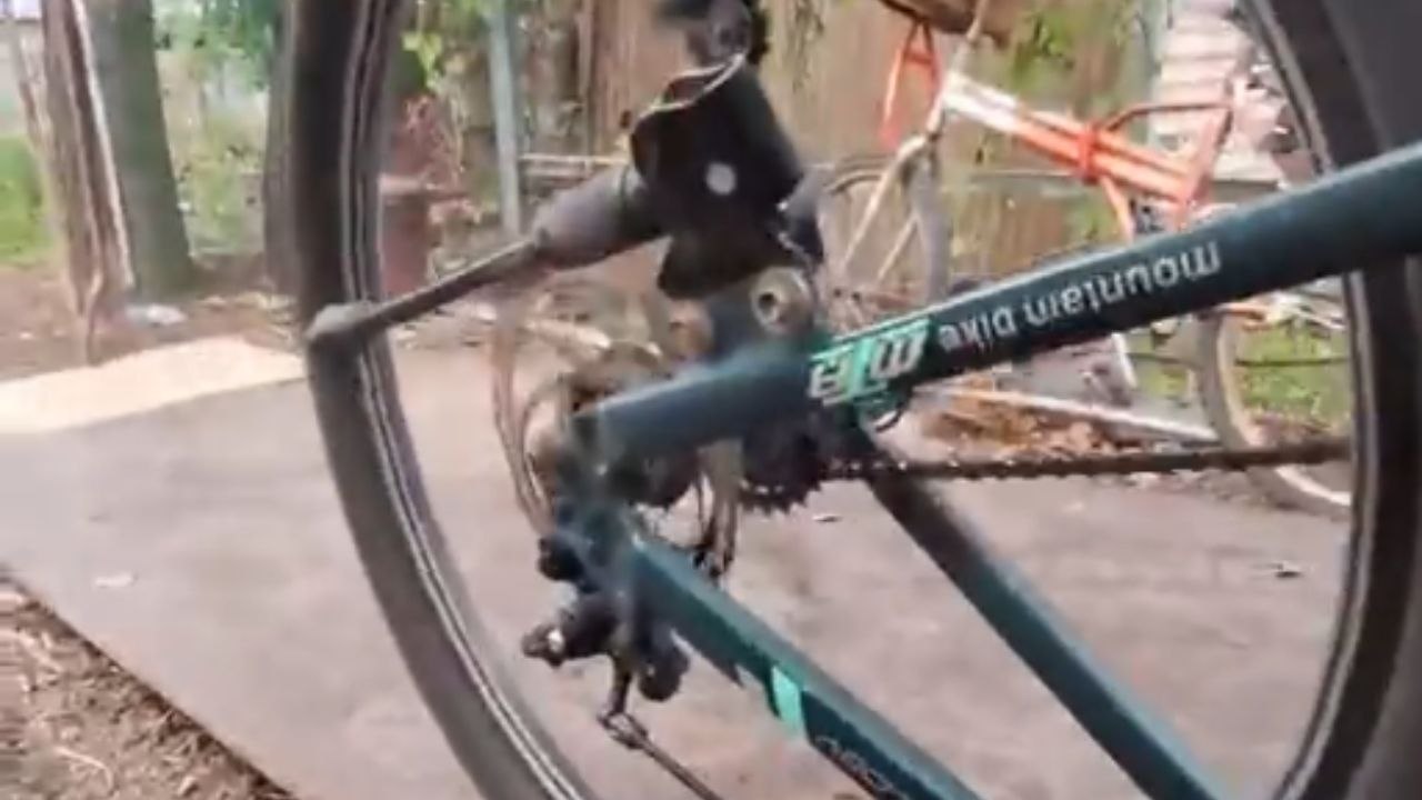 Rear brake problem leads to funny moment as caliper drops during bike check