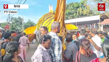 केरल: त्रिशूर की सड़कों पर 'पुलिकली' की रौनक, विदेशी सैलानियों समेत हजारों लोगों ने उठाया लुत्फ