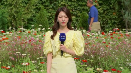 [날씨] 전남 해남·제주 북부 '호우주의보'...남부 '가을 호우' 밤사이 시간당 30mm / YTN